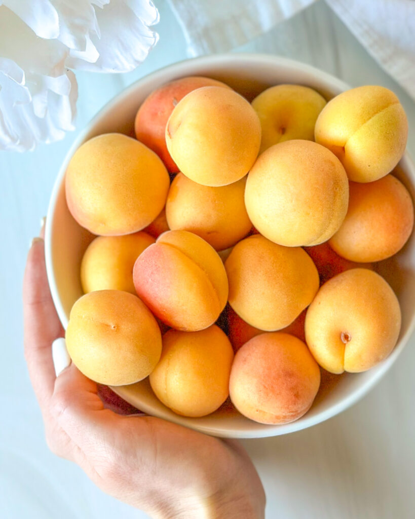 Bowl of ripe fresh apricots held by hand with white flowers in the background