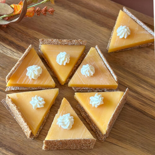 Overhead view of pumpkin pie cheese and cracker bites arranged in a circle on a serving surface