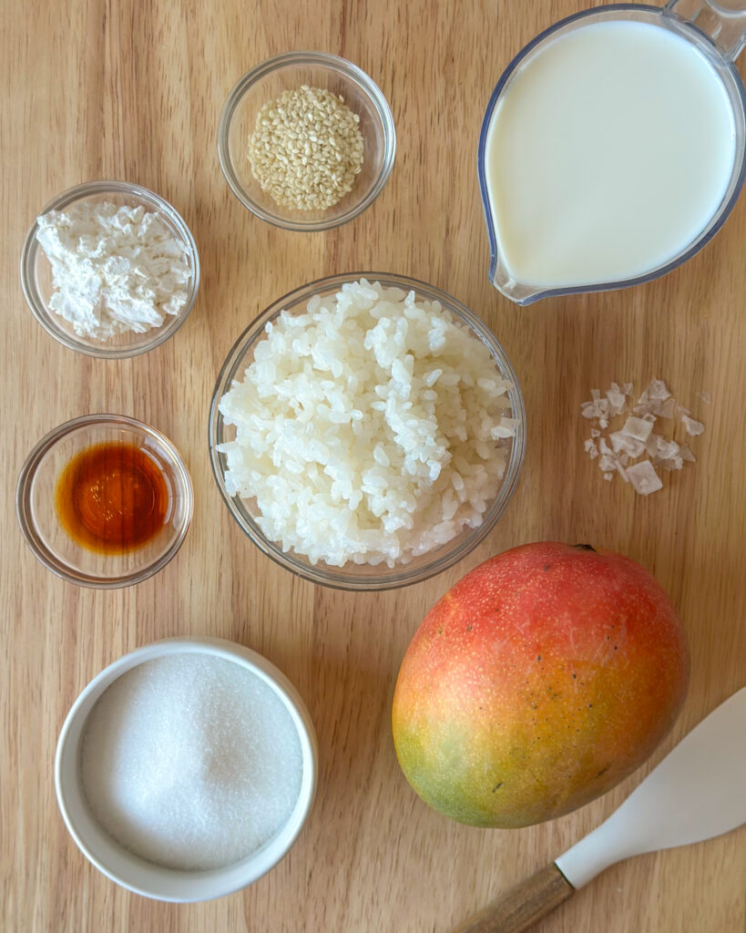 Flat lay of the ingredients used to make mango sticky rice arranged for preparation.