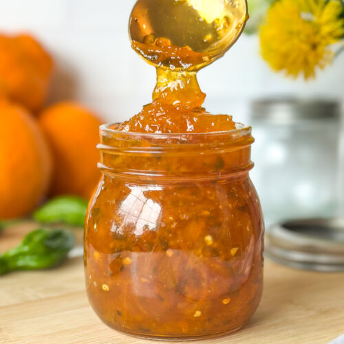 Spoon spooning spicy citrus pepper jelly into a glass jar, highlighting the thick glossy texture of the jelly